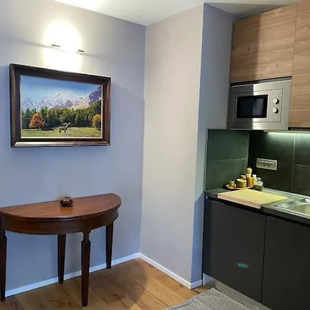 Appartamento Raffinato Ed Accogliente Monolocale Di Montagna