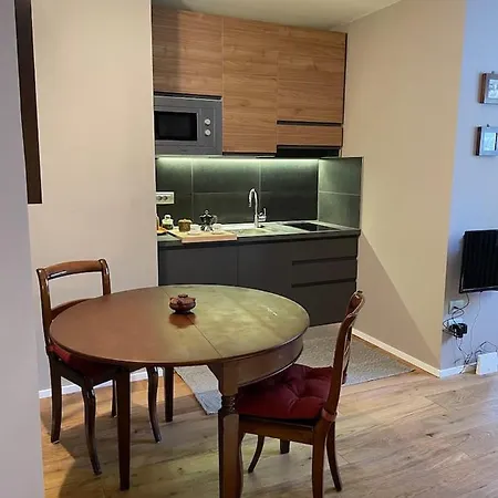 Raffinato Ed Accogliente Monolocale Di Montagna Appartamento